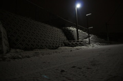 街灯、雪を照らす