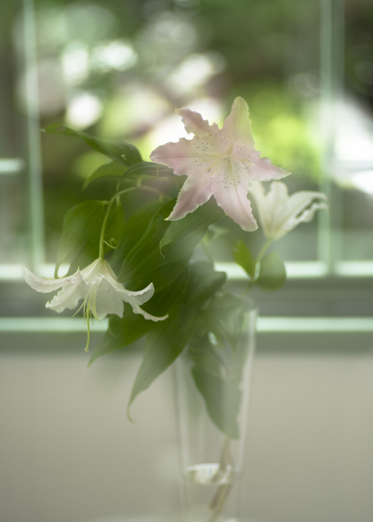 Still life１