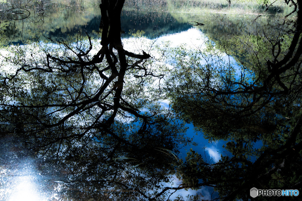 Norwegian Wood　３