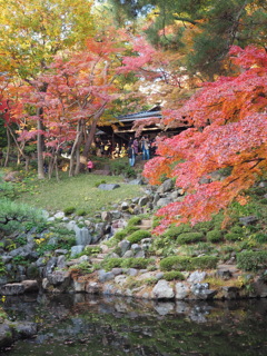 殿ヶ谷戸庭園