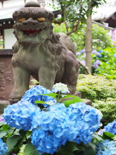 歯ブラシ供養寺