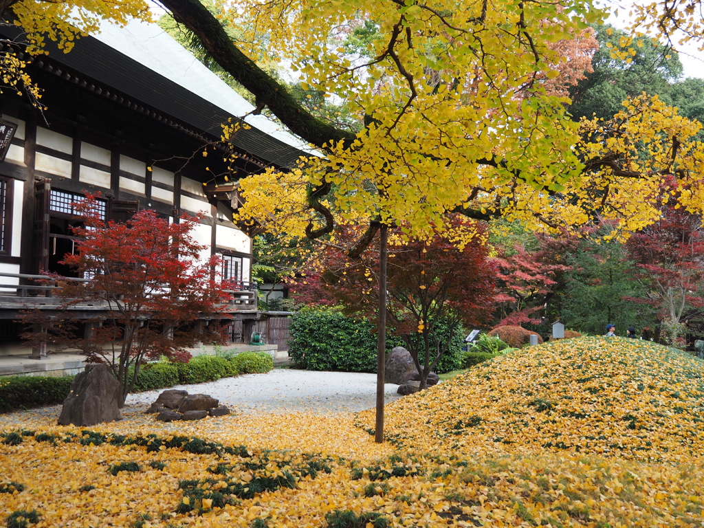 九品仏 浄真寺