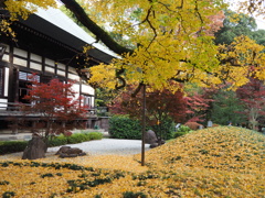 九品仏 浄真寺