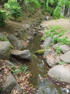 芝公園