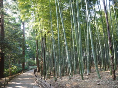 水戸偕楽園