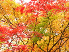 光が丘公園