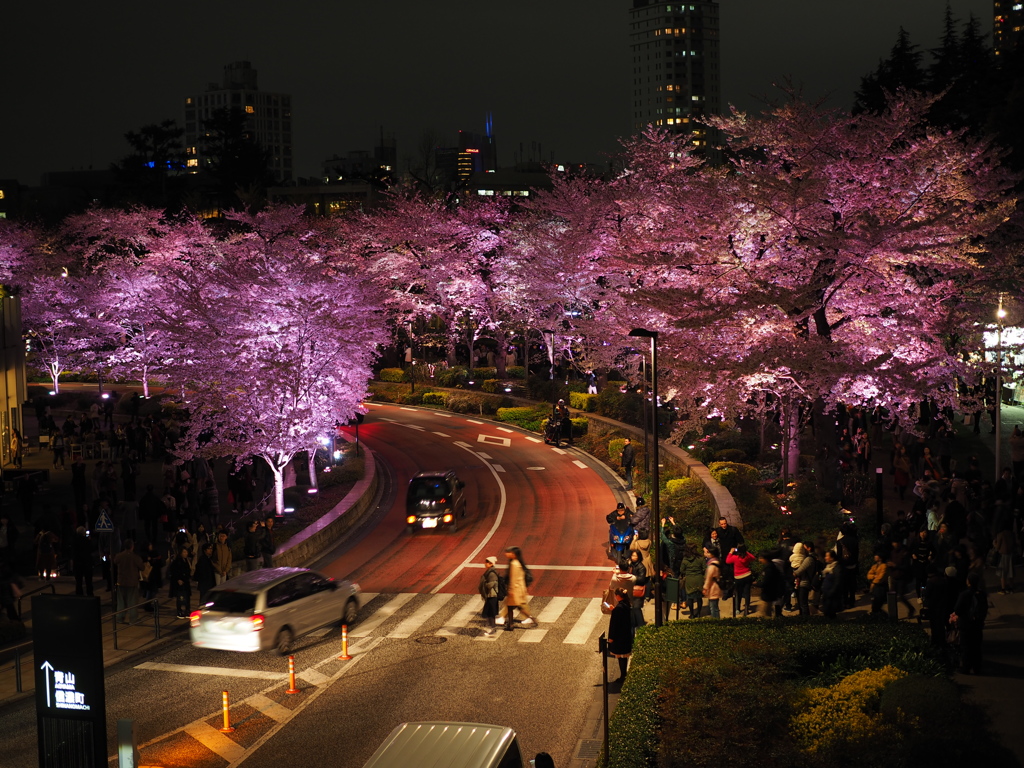東京ミッドタウン