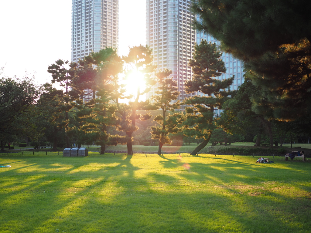 浜離宮恩賜公園