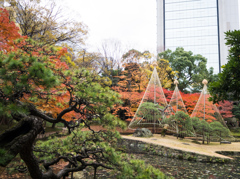 小石川後楽園