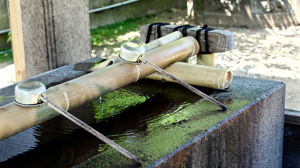 初夏の香り