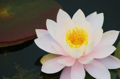 呼びさまして