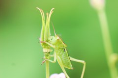瞳そらして？
