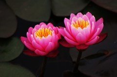 はぐれないように。