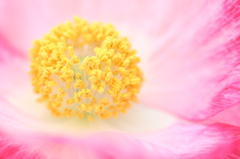 あたらしい世界へ
