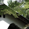DSCF5083