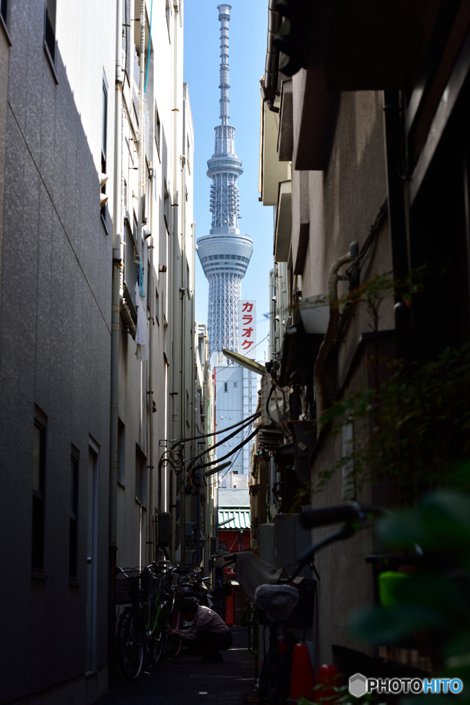 路地からスカイツリー