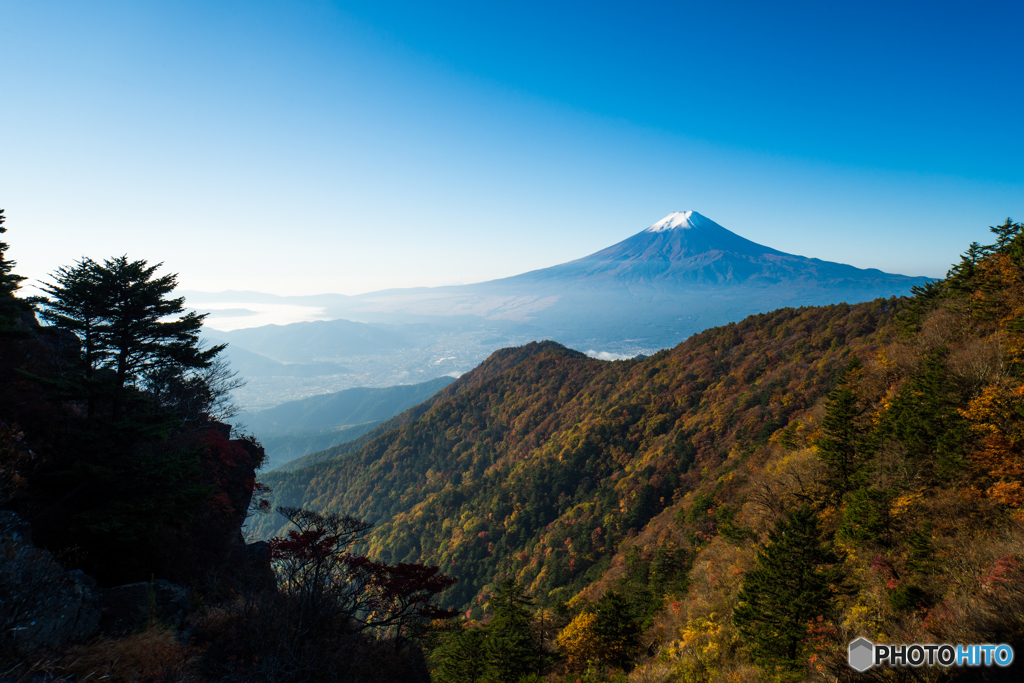 朝陽に照らされる富士山と紅葉