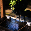 多門院より