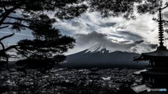 DSC_8067 (2)