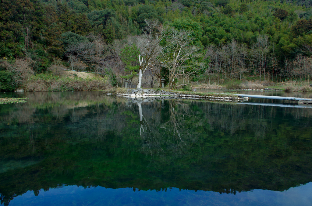 天然湧き水