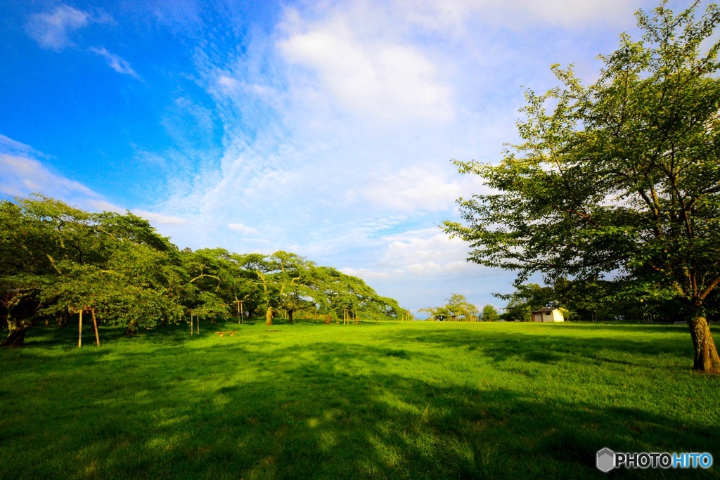 いつもの公園