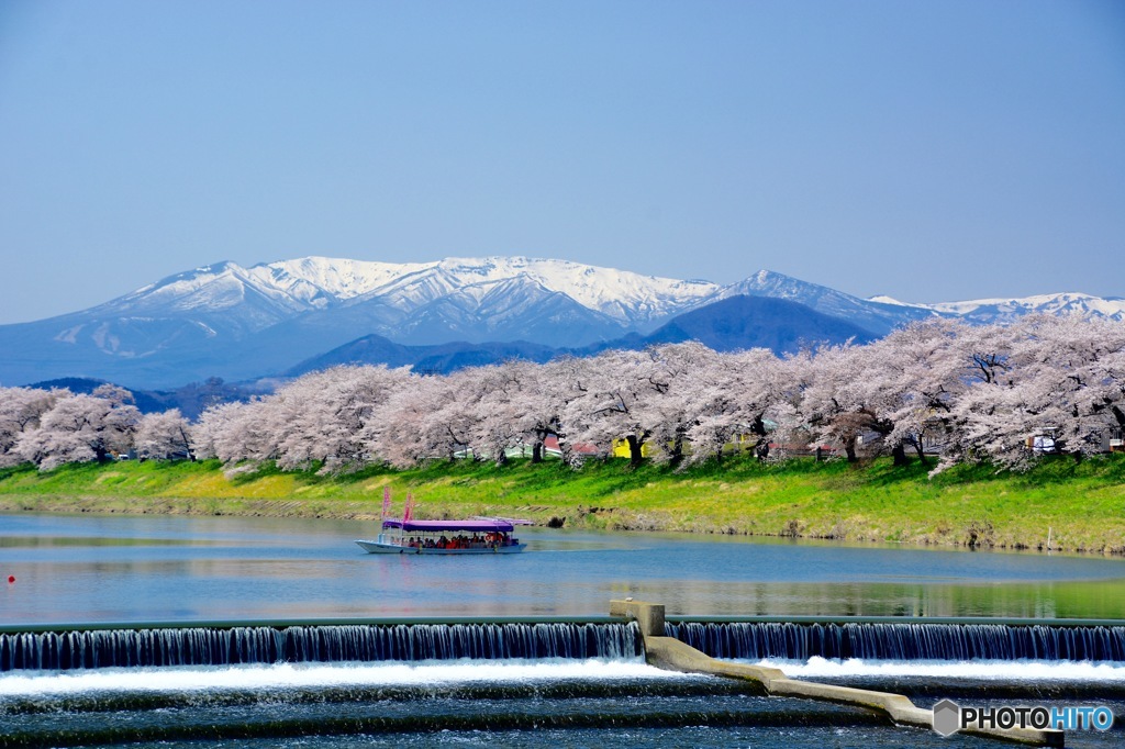 一目千本桜