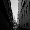L1000974