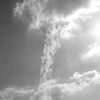 L1000868