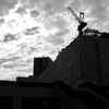 L1001044