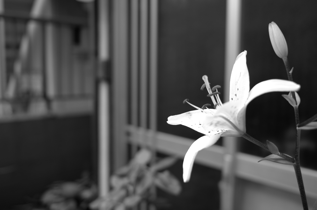 L1000522