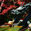 成就院 御手洗のドラゴン