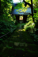 神秘的な苔寺～妙法寺～⑧