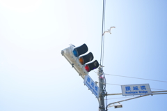 炎天下のぶら散歩 腰越漁港 8/14 DSC05176