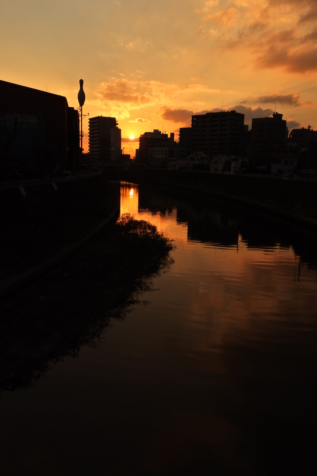 川名の夕暮れ 2016 2/8 DSC_0205