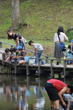 ちょっぴり新林公園 2016 6/1 DSC_2685