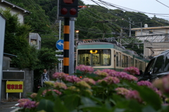 江ノ島駅で途中下車のぶら散歩② 6/2　PICT2643