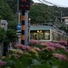 江ノ島駅で途中下車のぶら散歩② 6/2　PICT2643