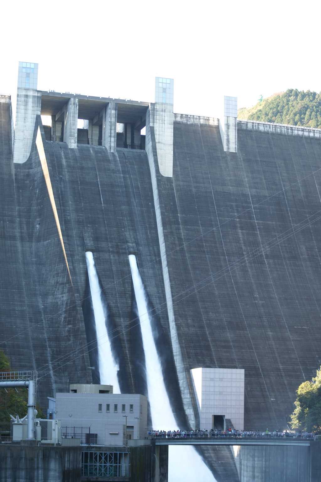 ぶら散歩 神奈川県立あいかわ公園 2015 11/3 DSC00189