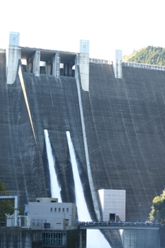 ぶら散歩 神奈川県立あいかわ公園 2015 11/3 DSC00189