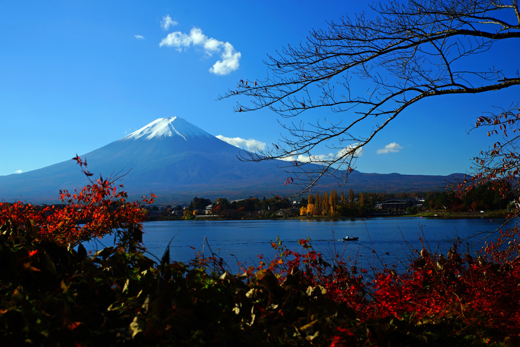 快晴の河口湖...紅葉巡り