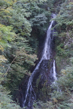 ぶら散歩 神奈川県立あいかわ公園 2015 11/3 DSC00200