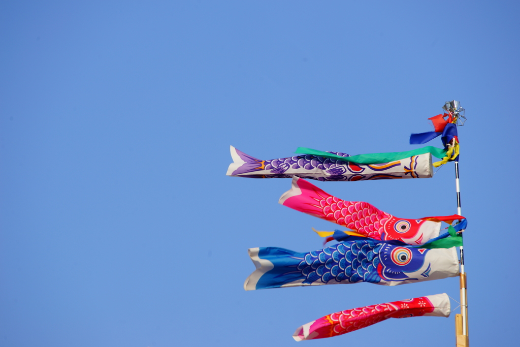 青空を泳ごうよ...風が吹いたなら