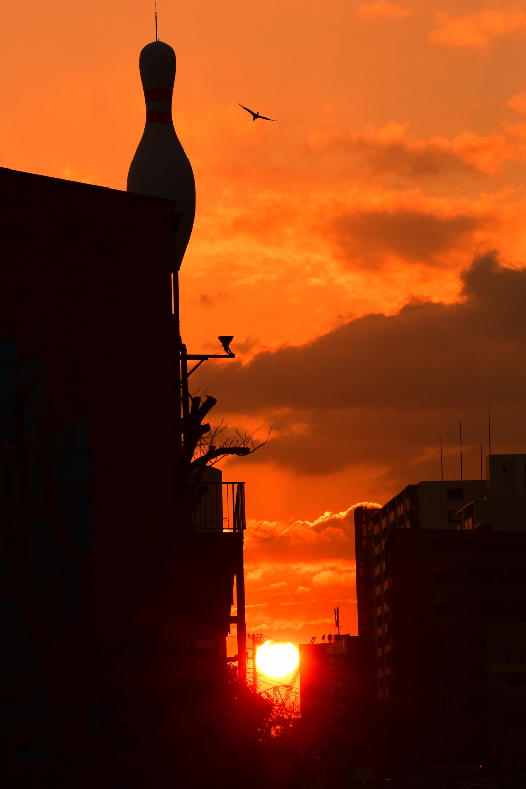 川名の夕暮れ 2016 2/8 DSC_2133