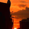 川名の夕暮れ 2016 2/8 DSC_2133