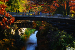 秋の猿橋
