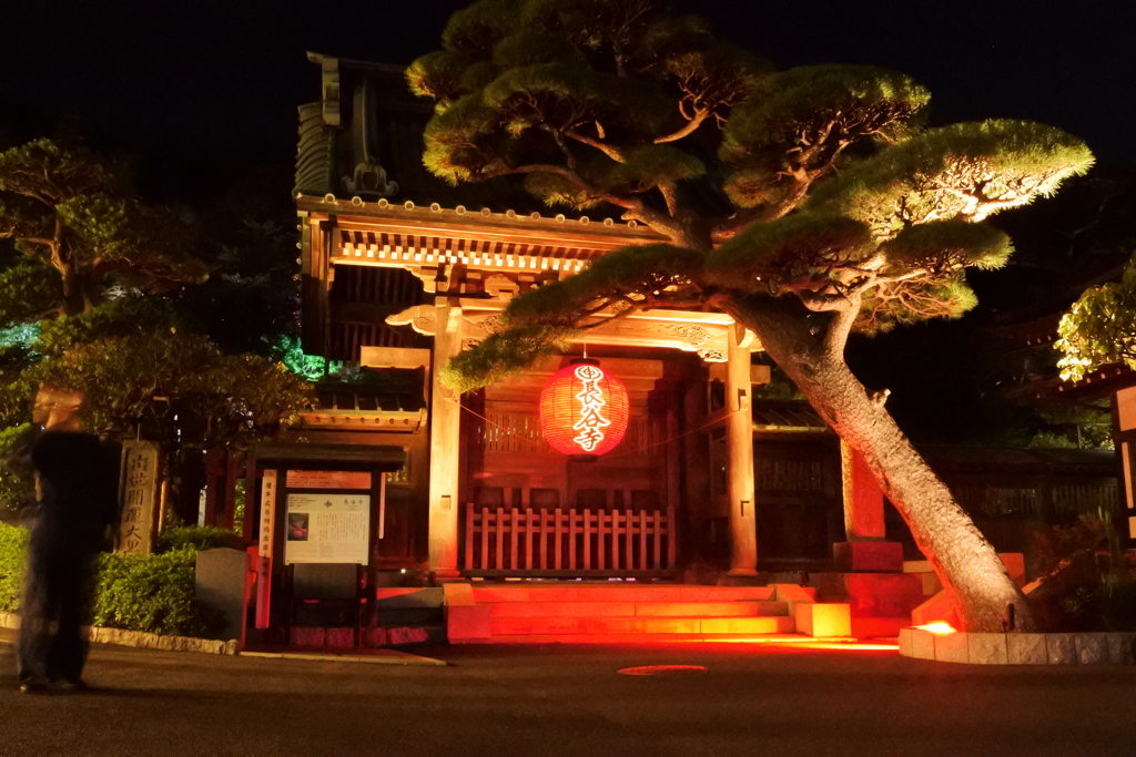 かまくら 長谷の灯かり～長谷寺 DSC_0700