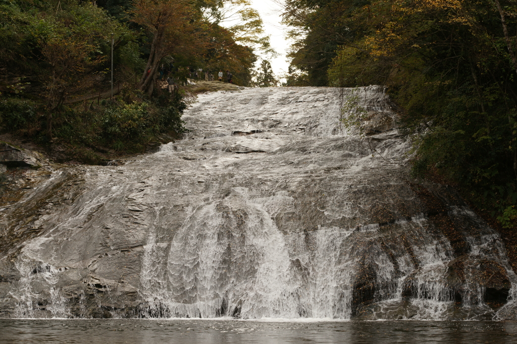 養老渓谷 粟又の滝 ぶら散歩 2015 11/22 DSC01229