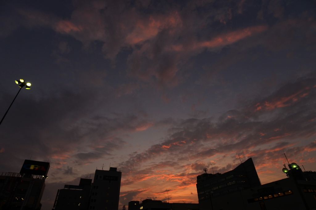 夕焼け小焼け 2016 5/27 DSC_0469