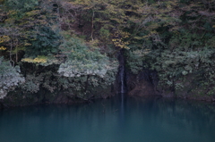 ぶら散歩 神奈川県立あいかわ公園 2015 11/3 DSC00108