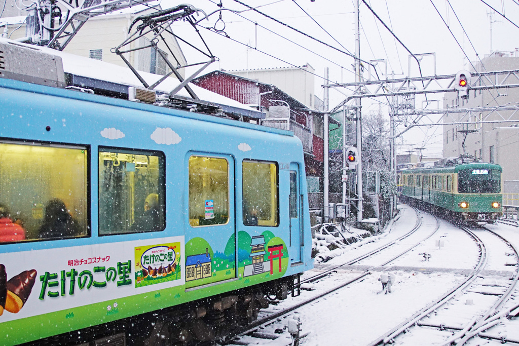 たけのこの里も雪景色